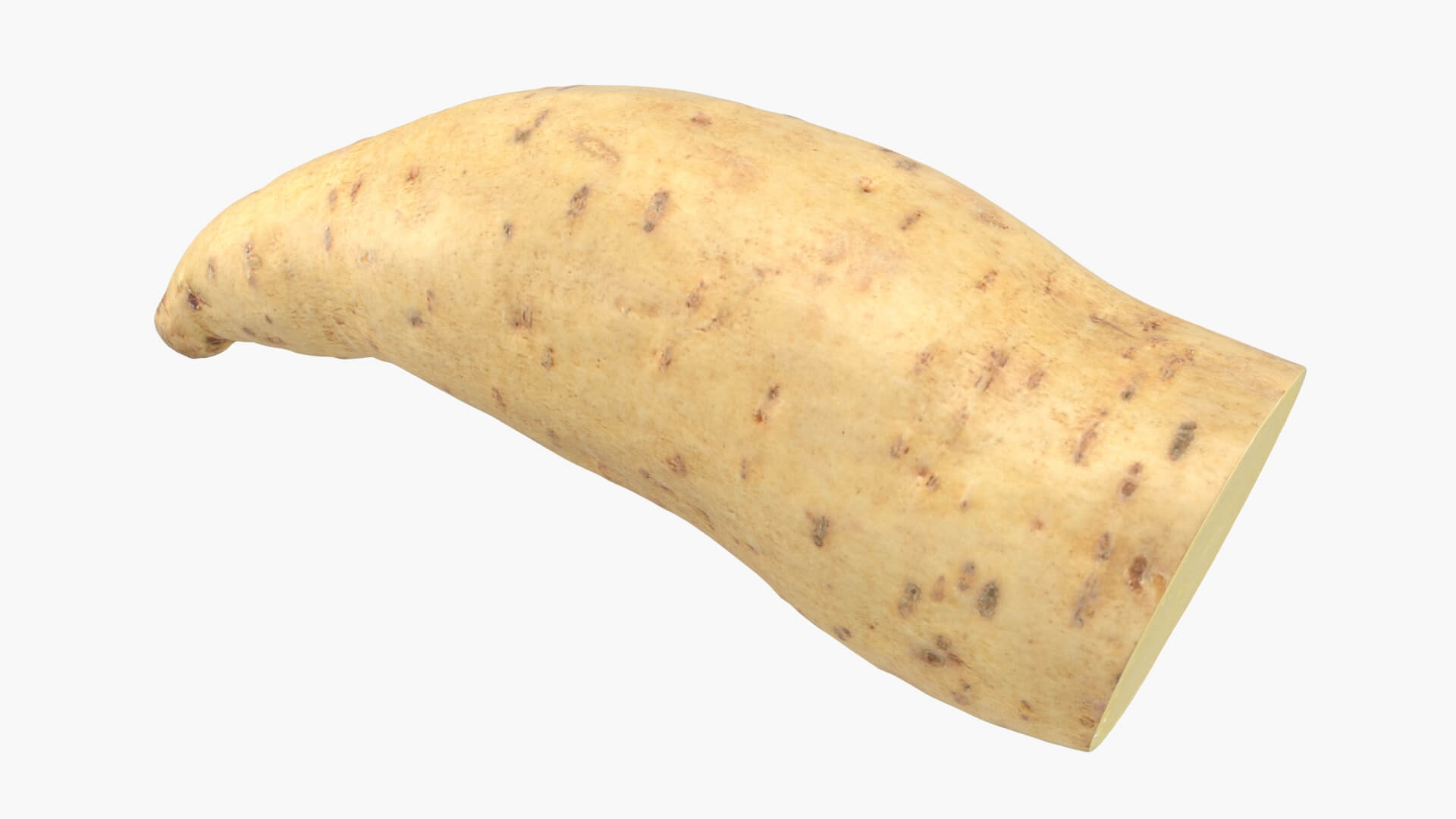 Half Sweet Potato 01 3D Model