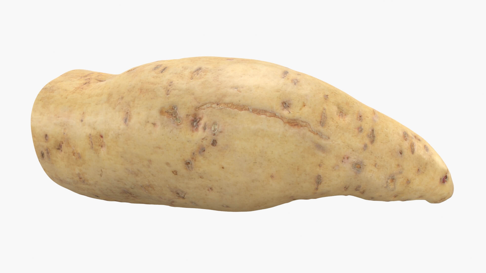 Half Sweet Potato 01 3D Model