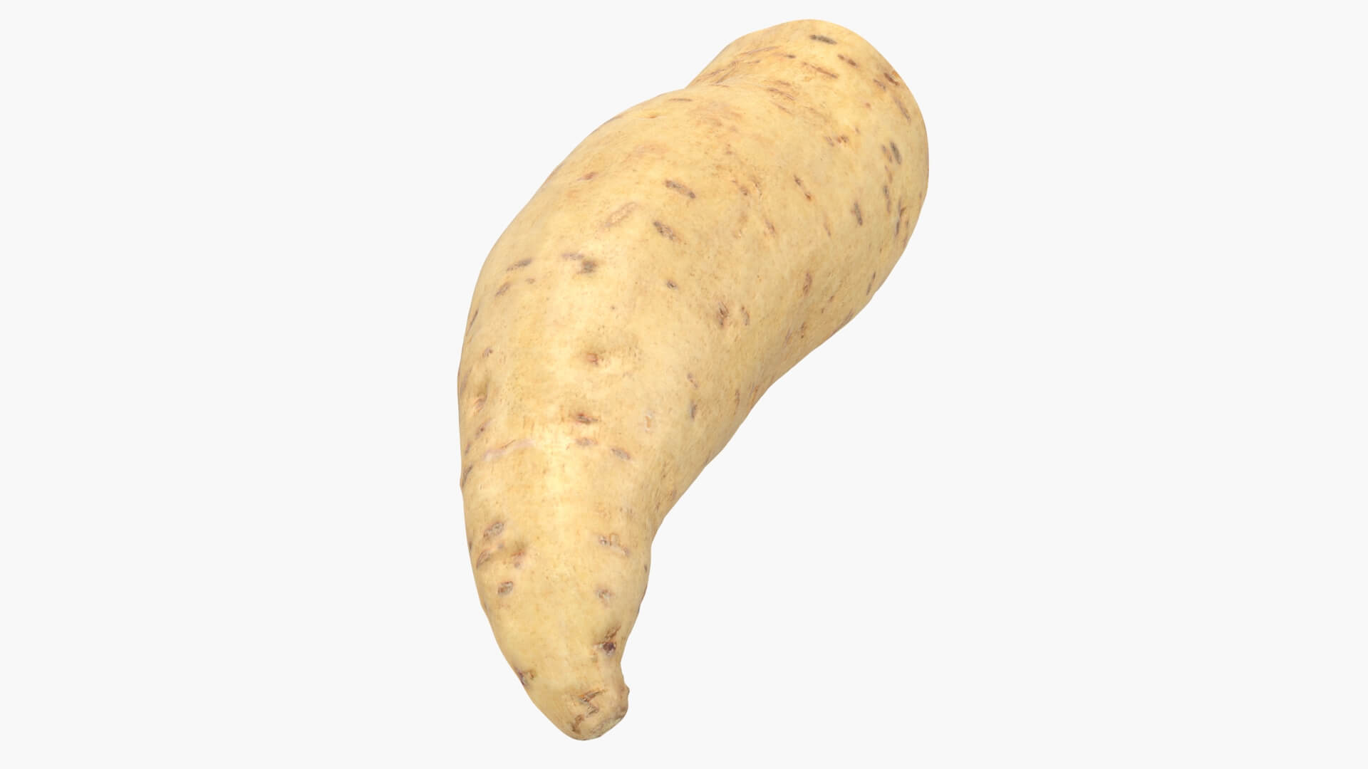 Half Sweet Potato 01 3D Model