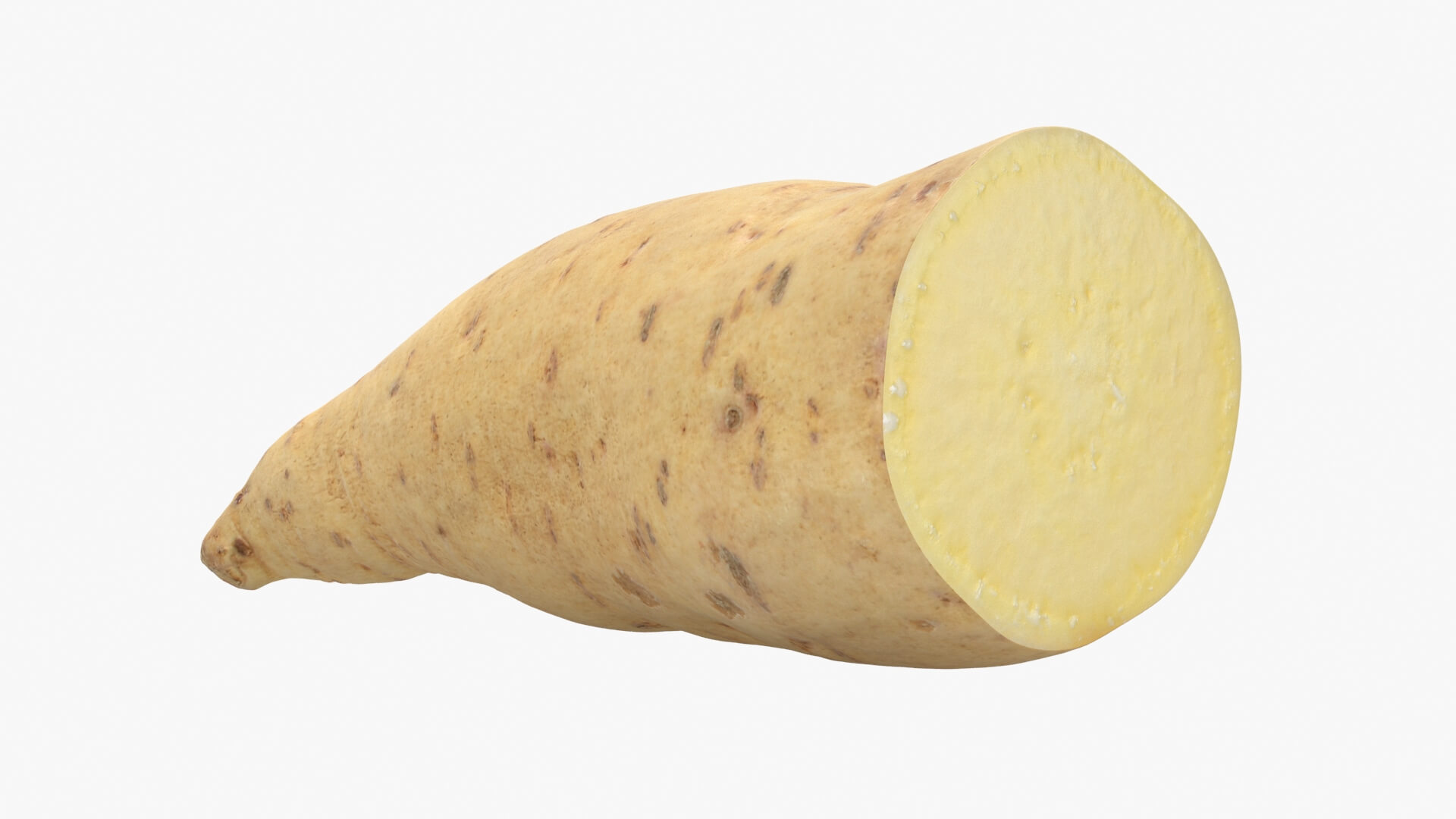 Half Sweet Potato 01 3D Model