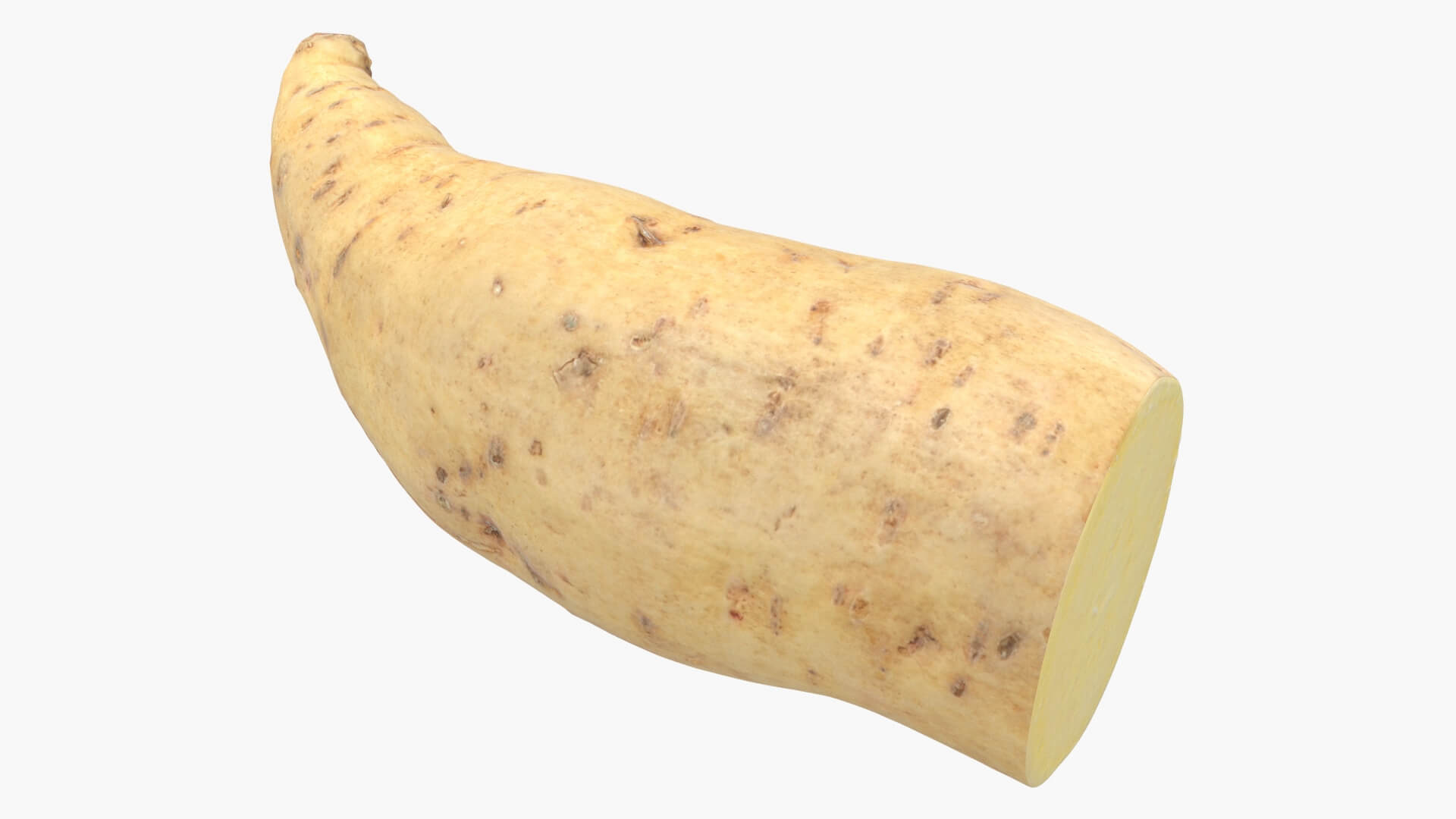 Half Sweet Potato 01 3D Model