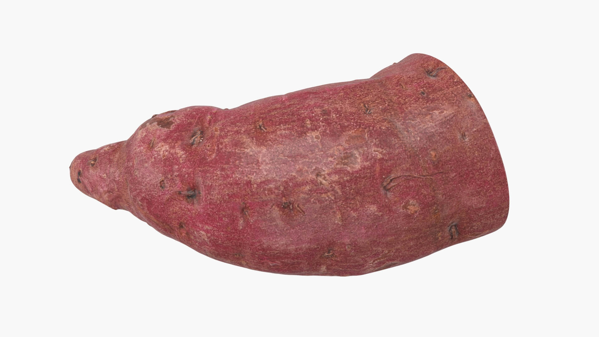 Half Sweet Potato 02 3D Model