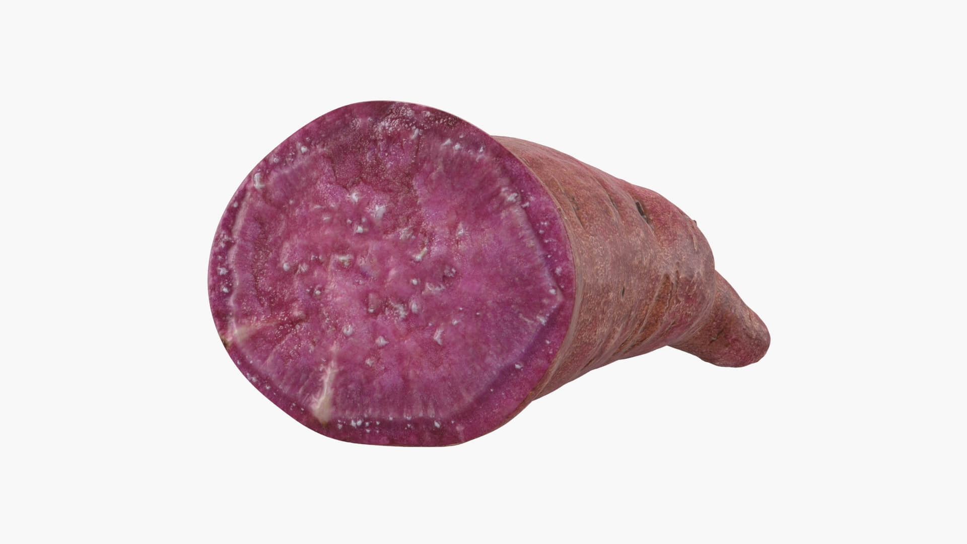 Half Sweet Potato 02 3D Model
