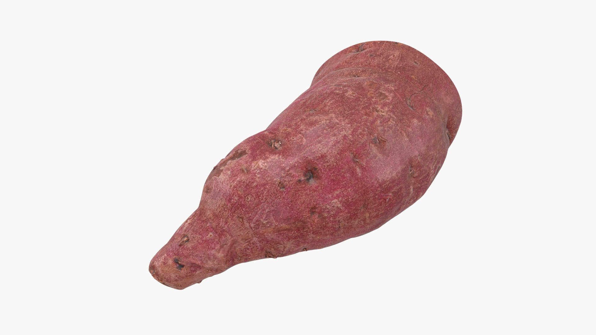 Half Sweet Potato 02 3D Model