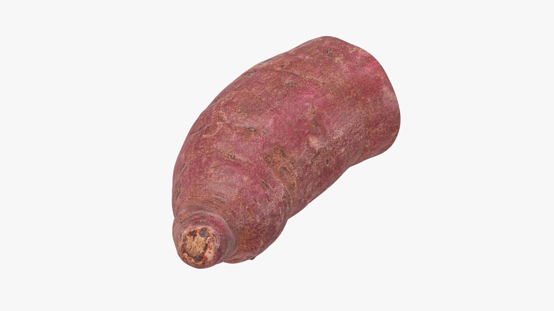 Half Sweet Potato 02 3D Model