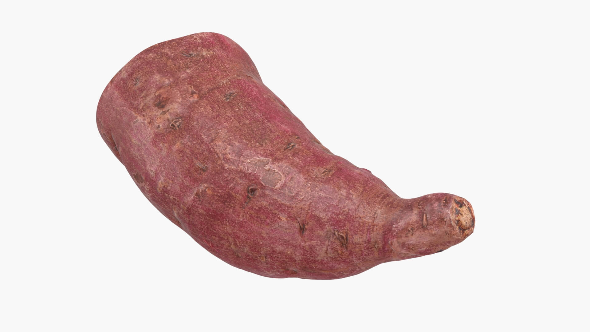 Half Sweet Potato 02 3D Model