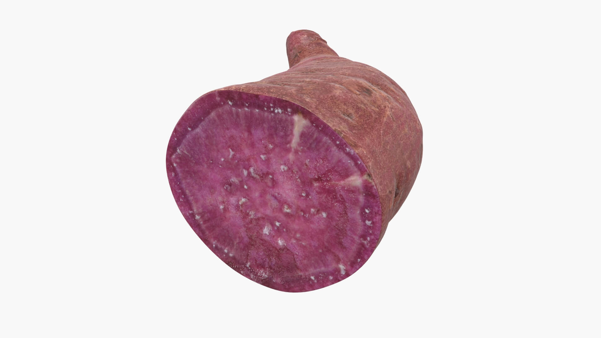 Half Sweet Potato 02 3D Model