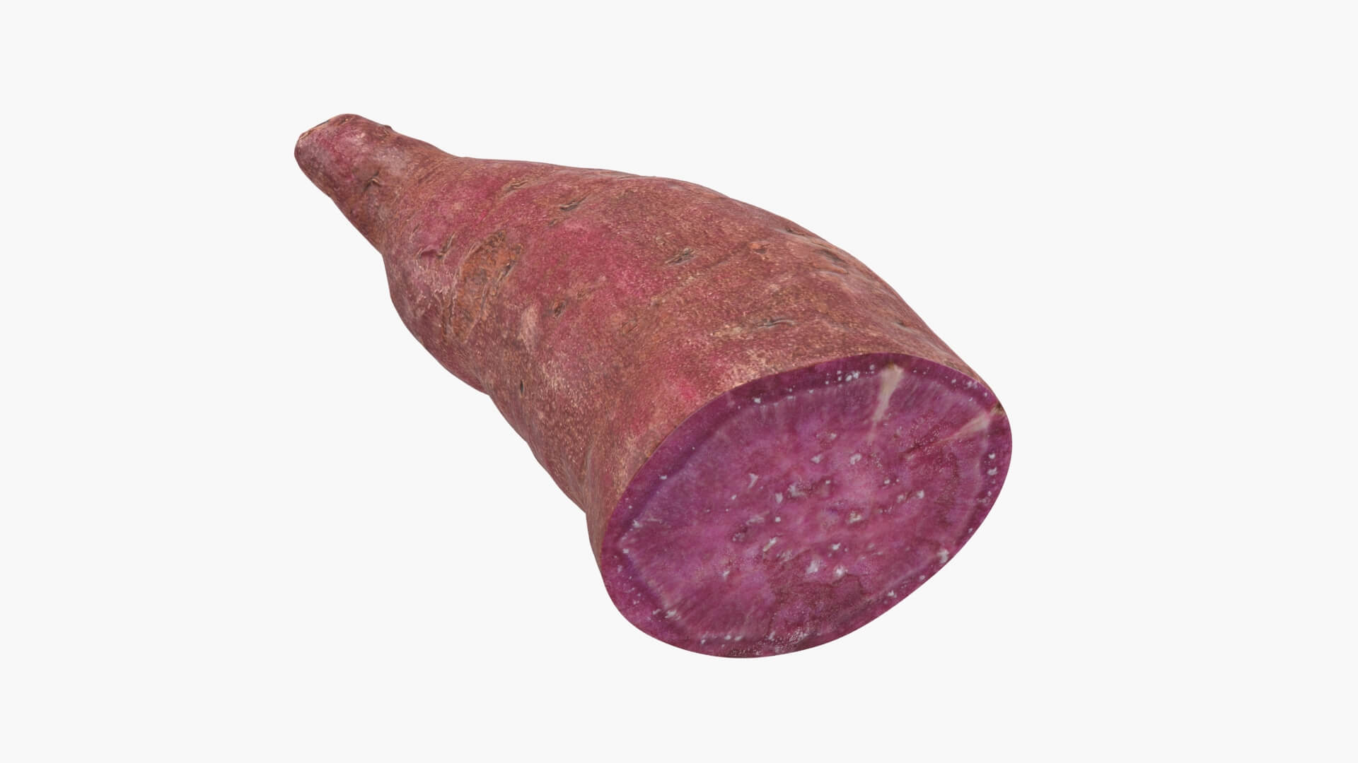 Half Sweet Potato 02 3D Model