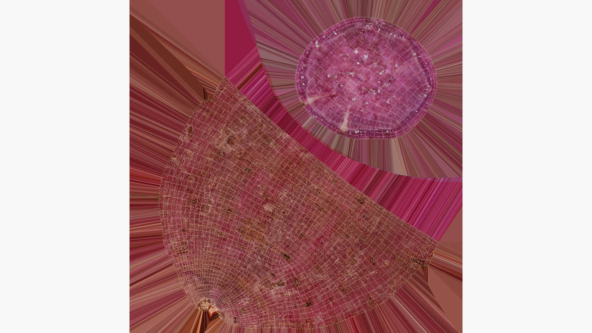 Half Sweet Potato 02 3D Model