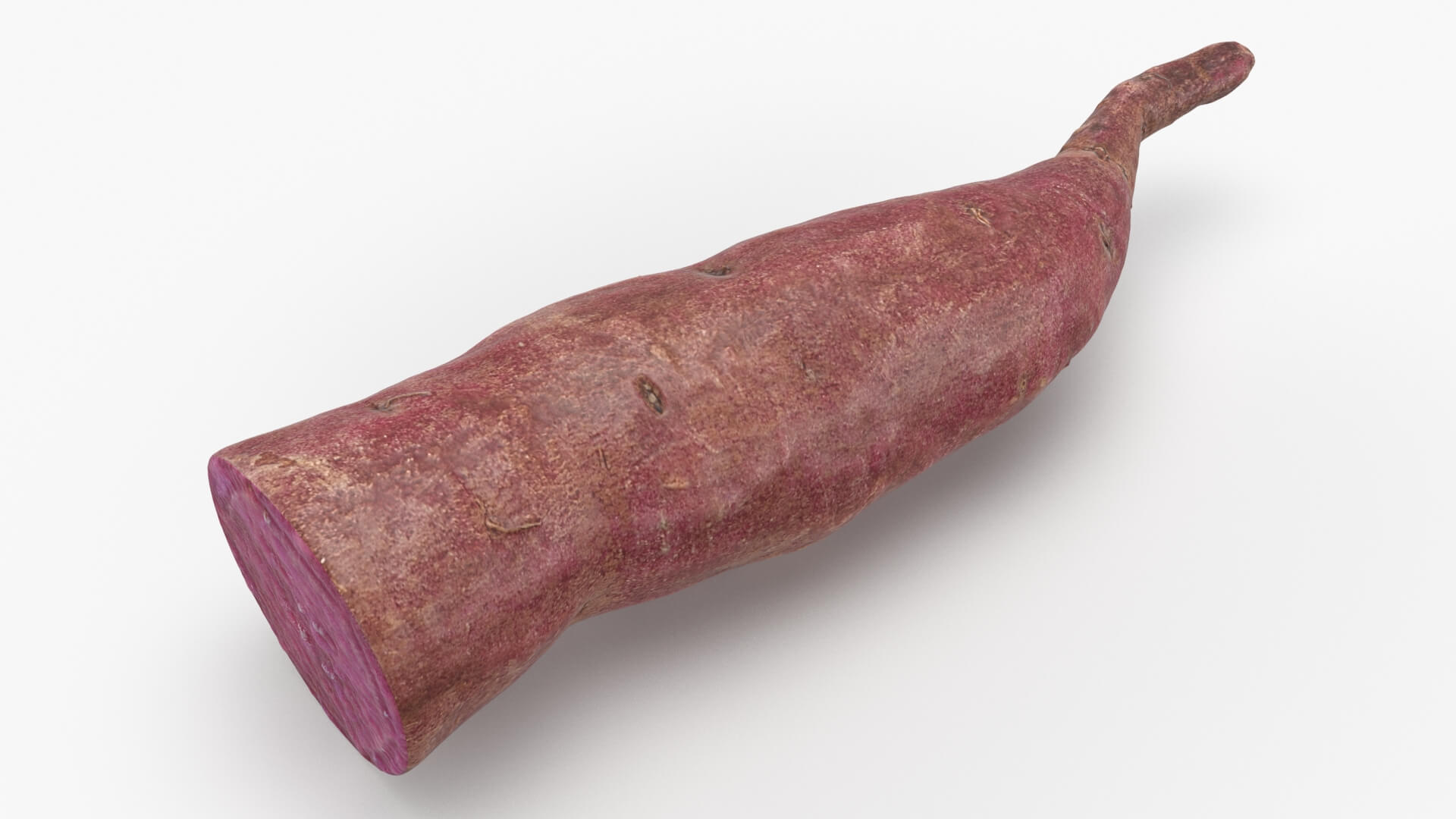 Half Sweet Potato 04 3D Model