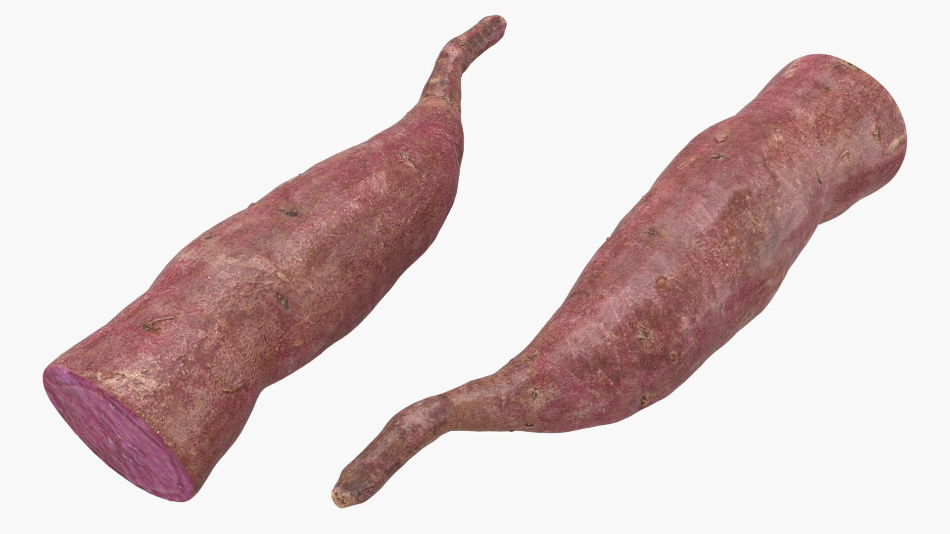 Half Sweet Potato 04 3D Model