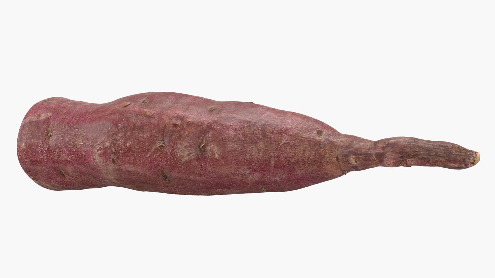 Half Sweet Potato 04 3D Model