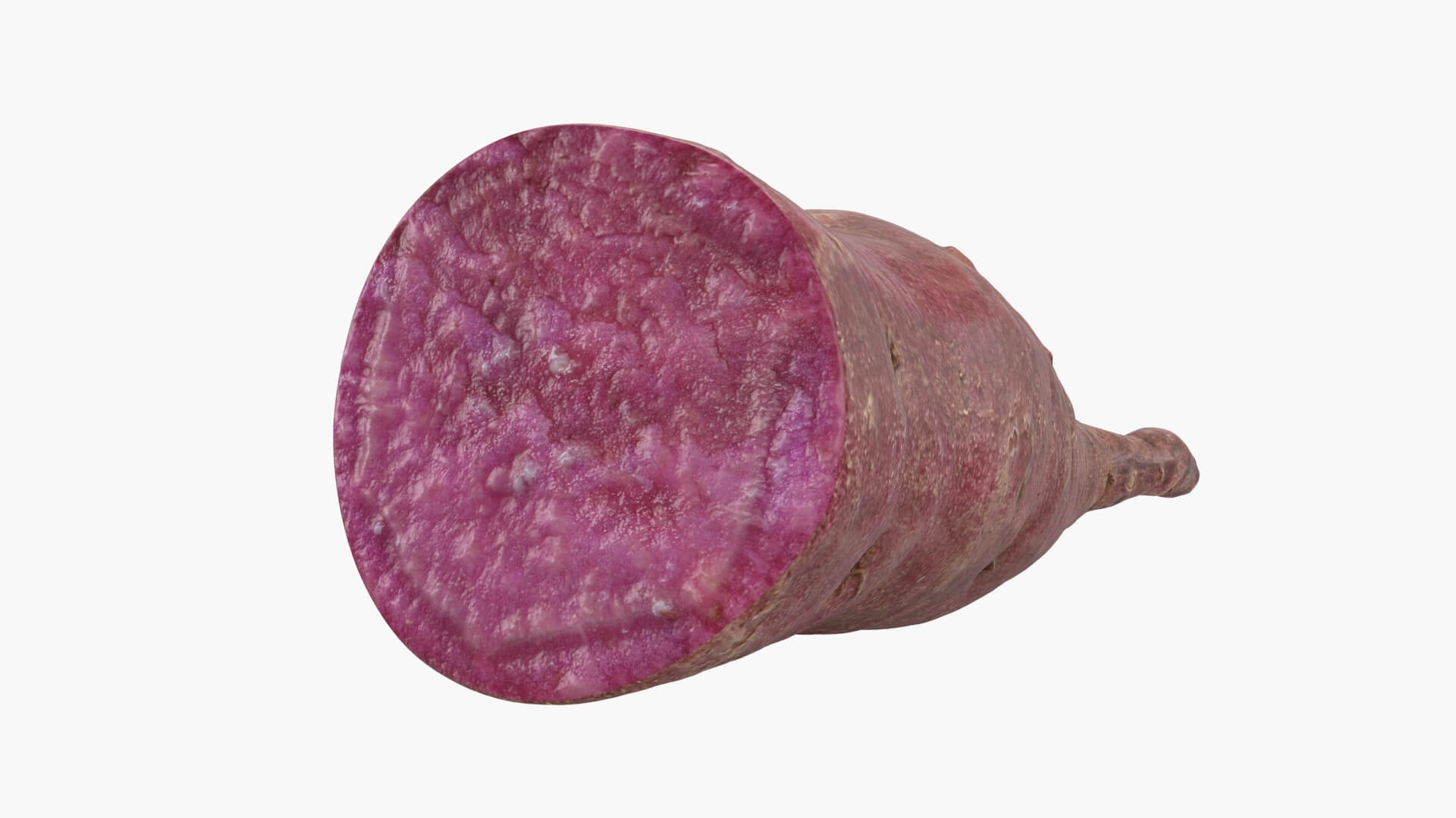 Half Sweet Potato 04 3D Model