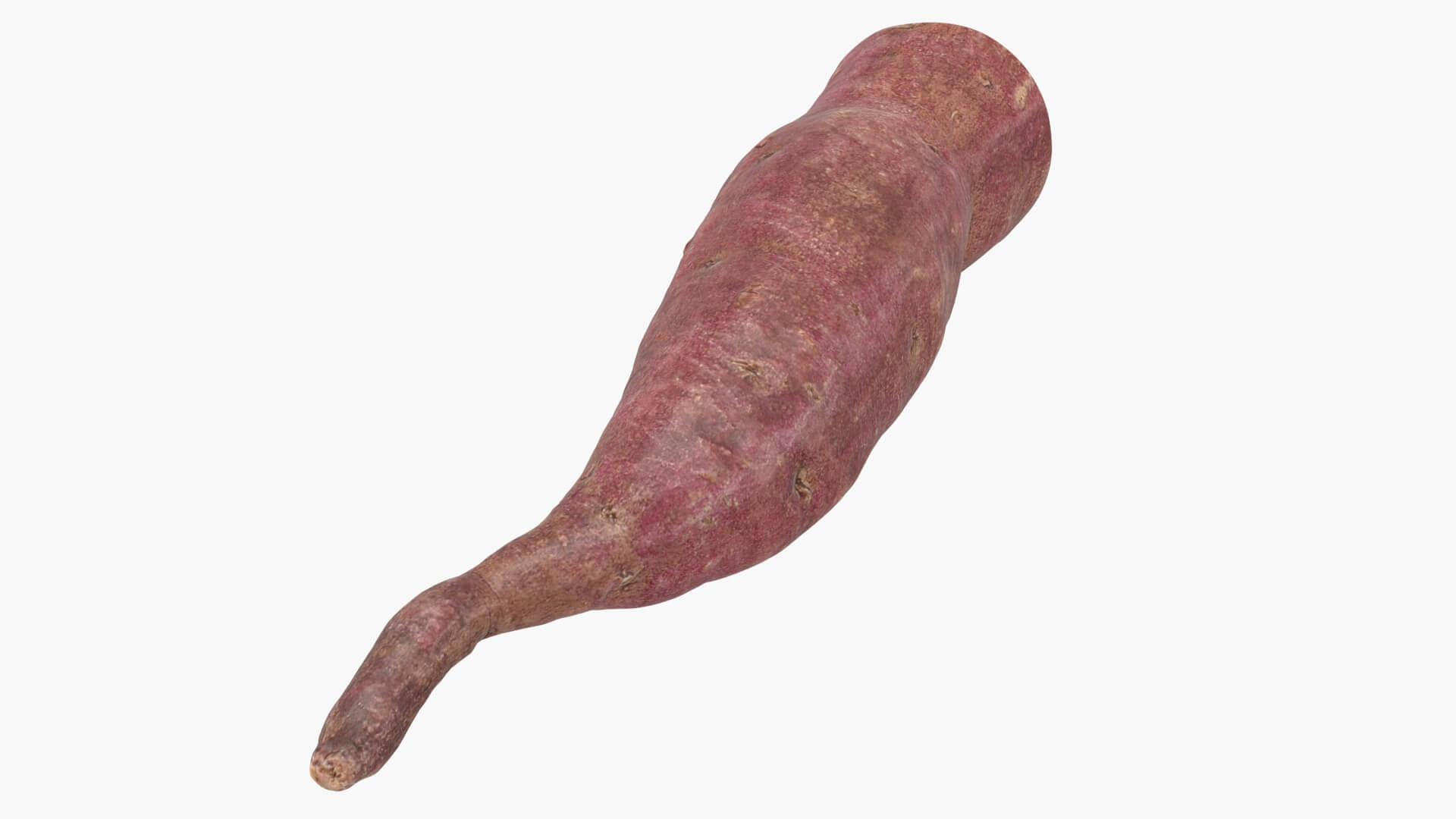Half Sweet Potato 04 3D Model