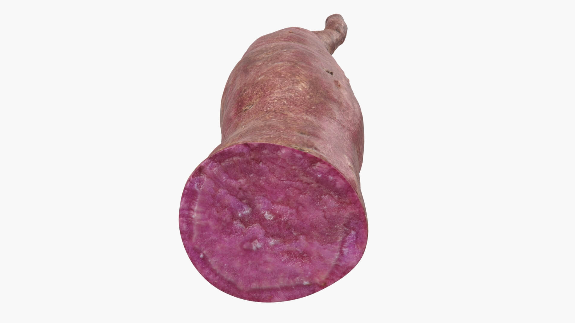 Half Sweet Potato 04 3D Model