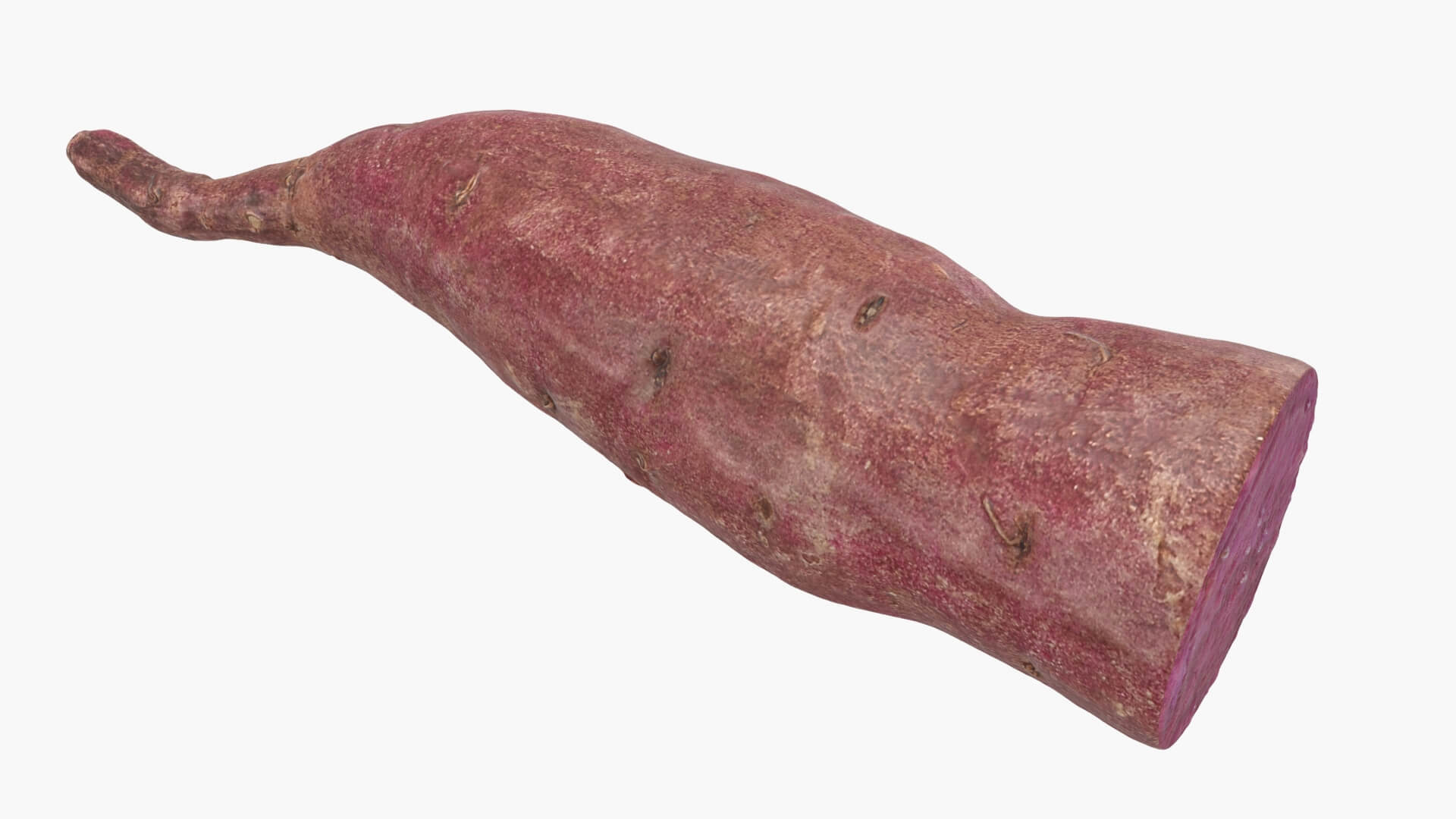 Half Sweet Potato 04 3D Model