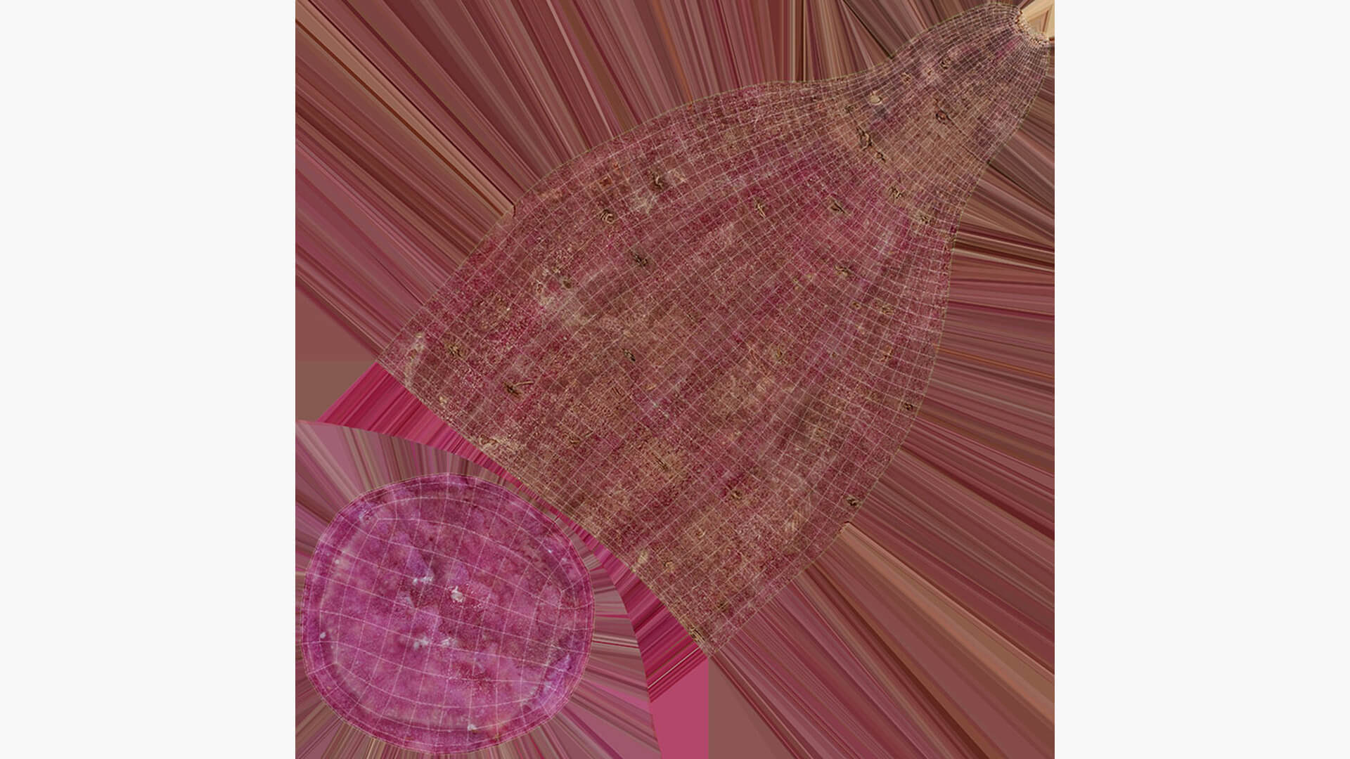 Half Sweet Potato 04 3D Model