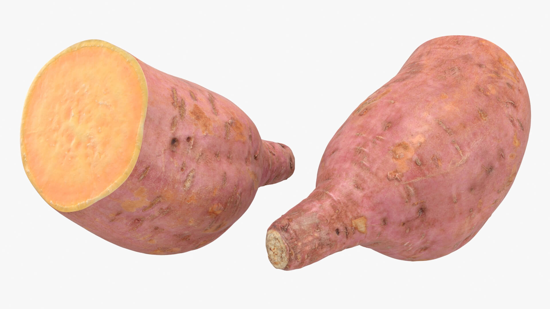Half Sweet Potato 05 3D Model