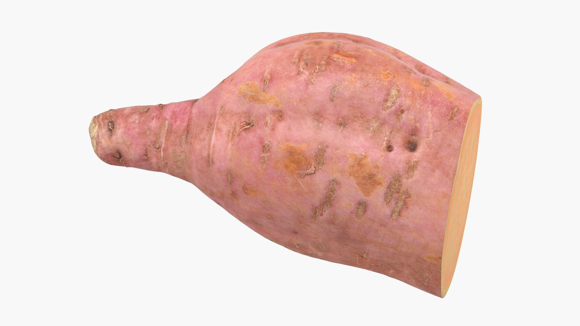 Half Sweet Potato 05 3D Model