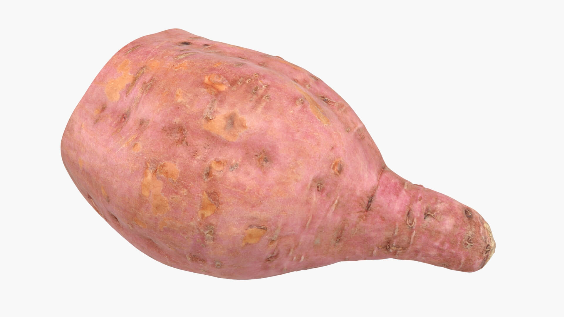 Half Sweet Potato 05 3D Model