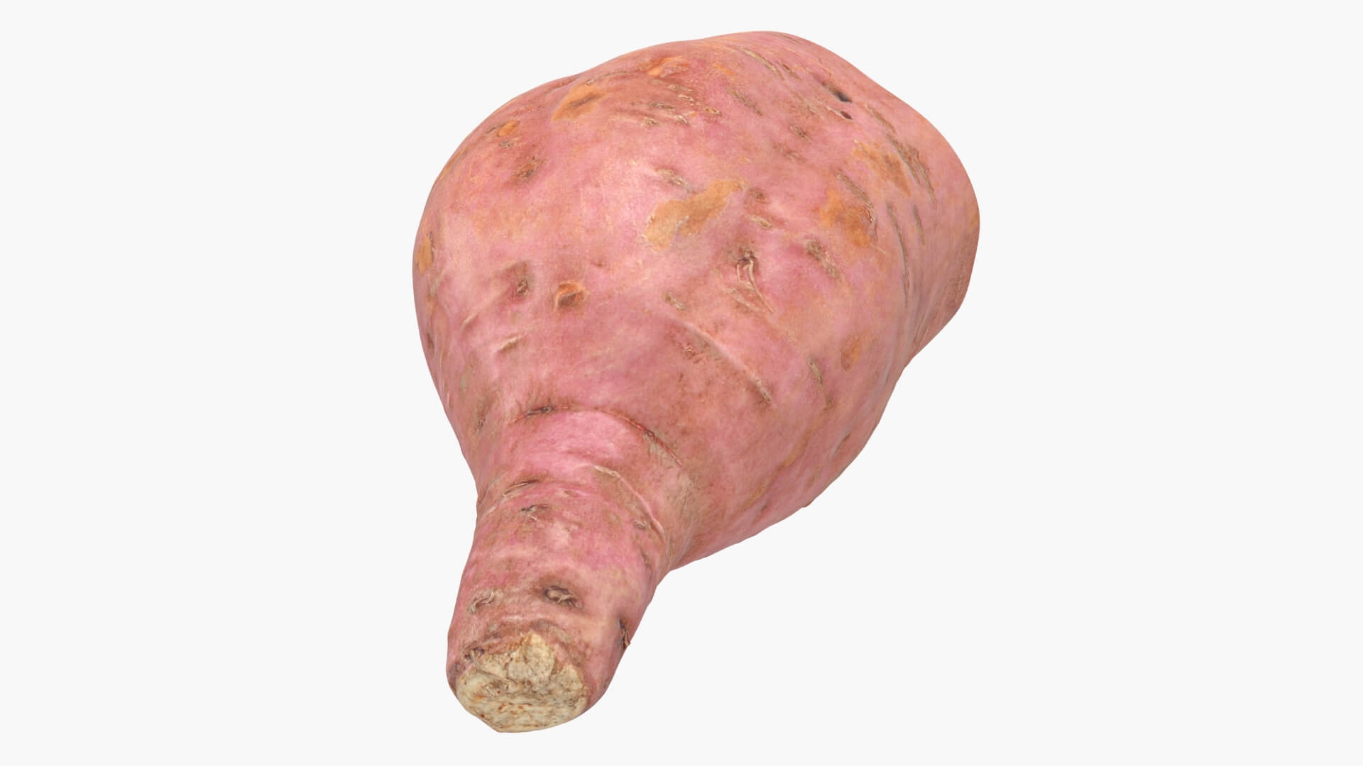 Half Sweet Potato 05 3D Model