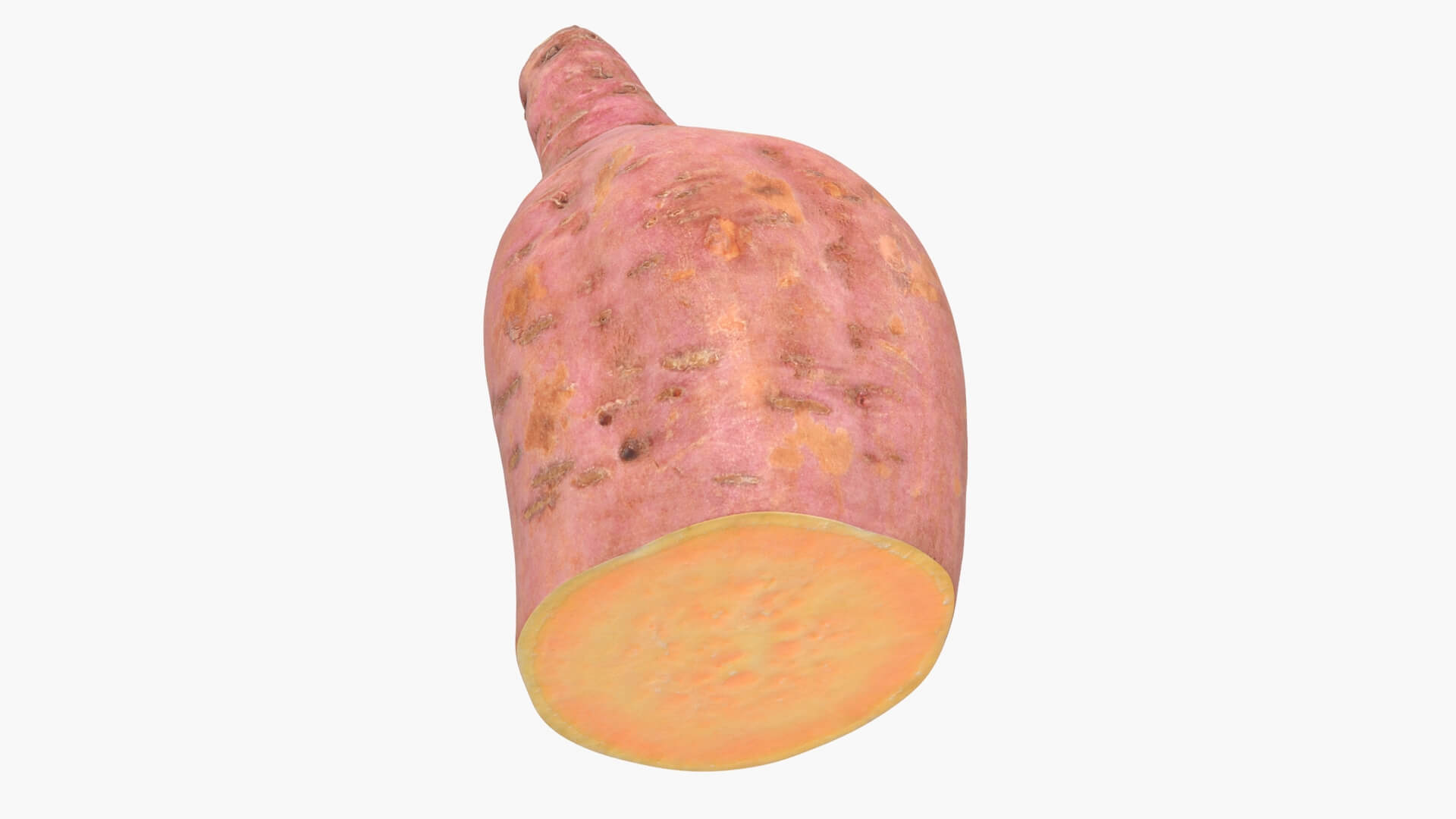 Half Sweet Potato 05 3D Model