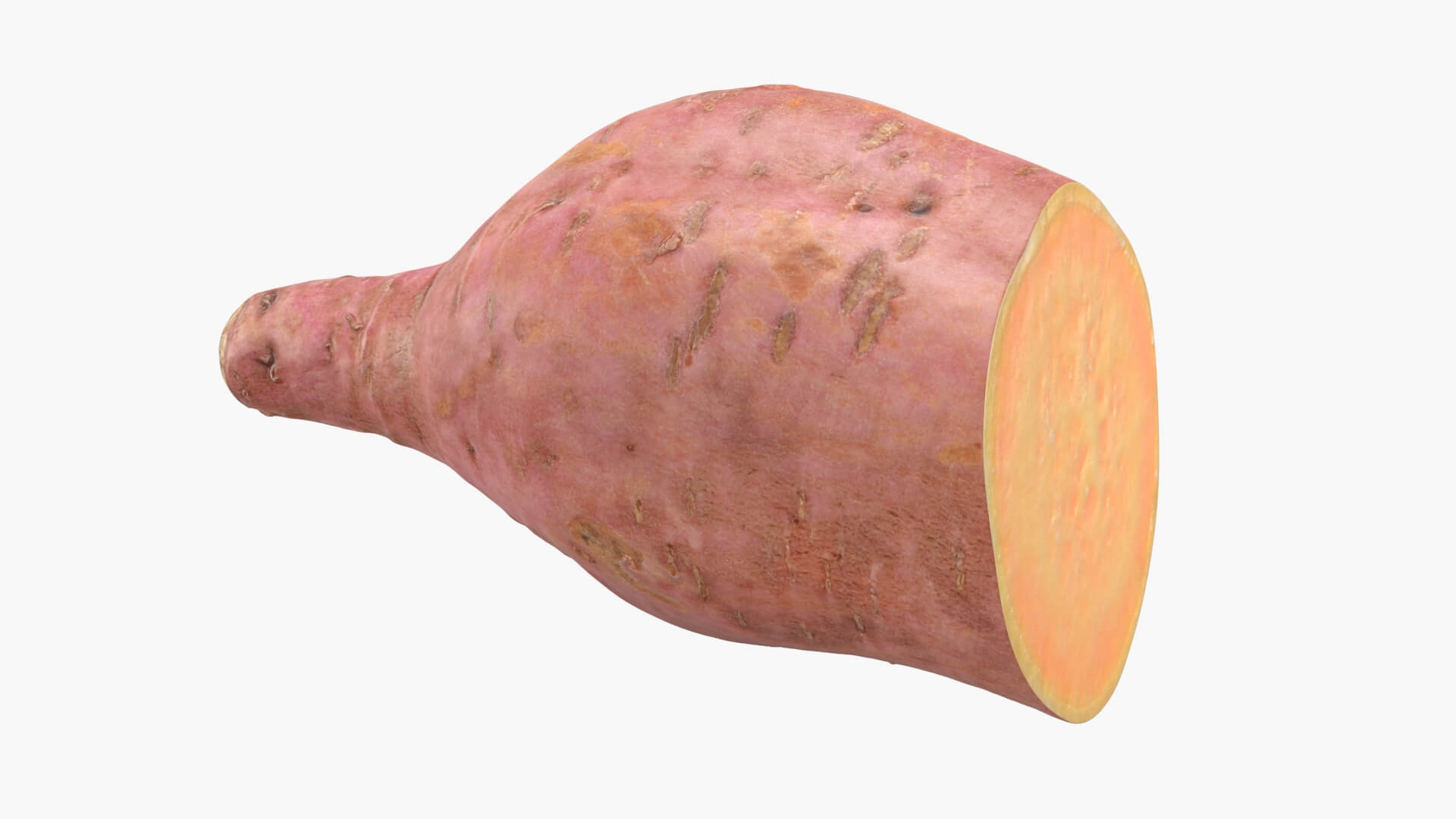 Half Sweet Potato 05 3D Model