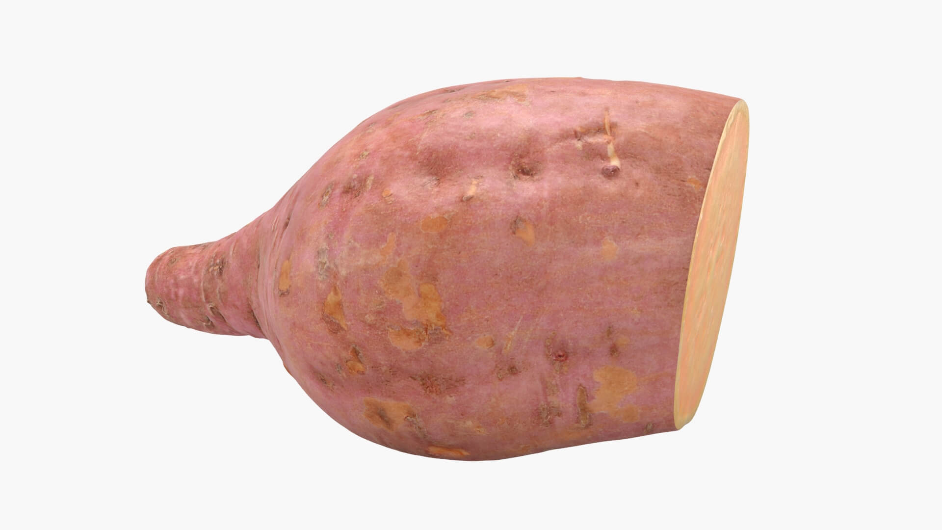 Half Sweet Potato 05 3D Model