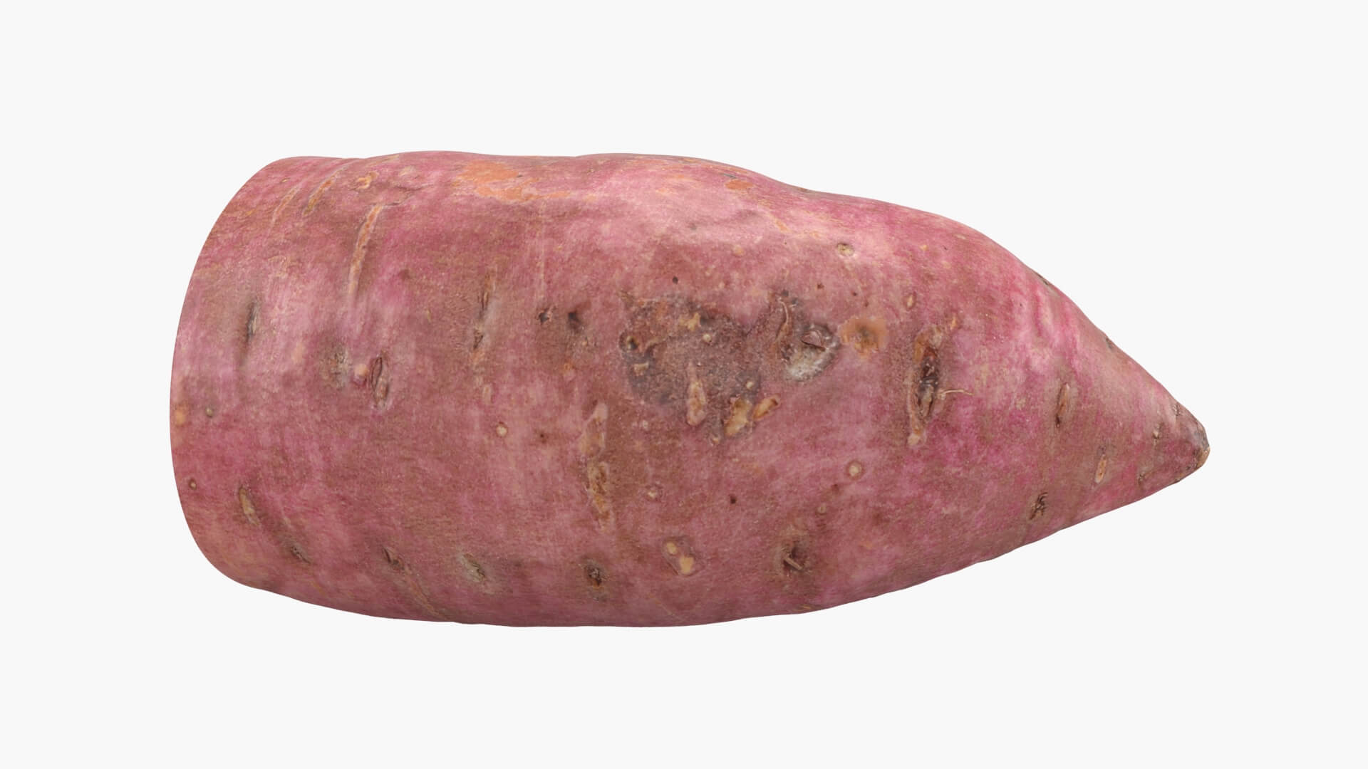 Half Sweet Potato 06 3D Model
