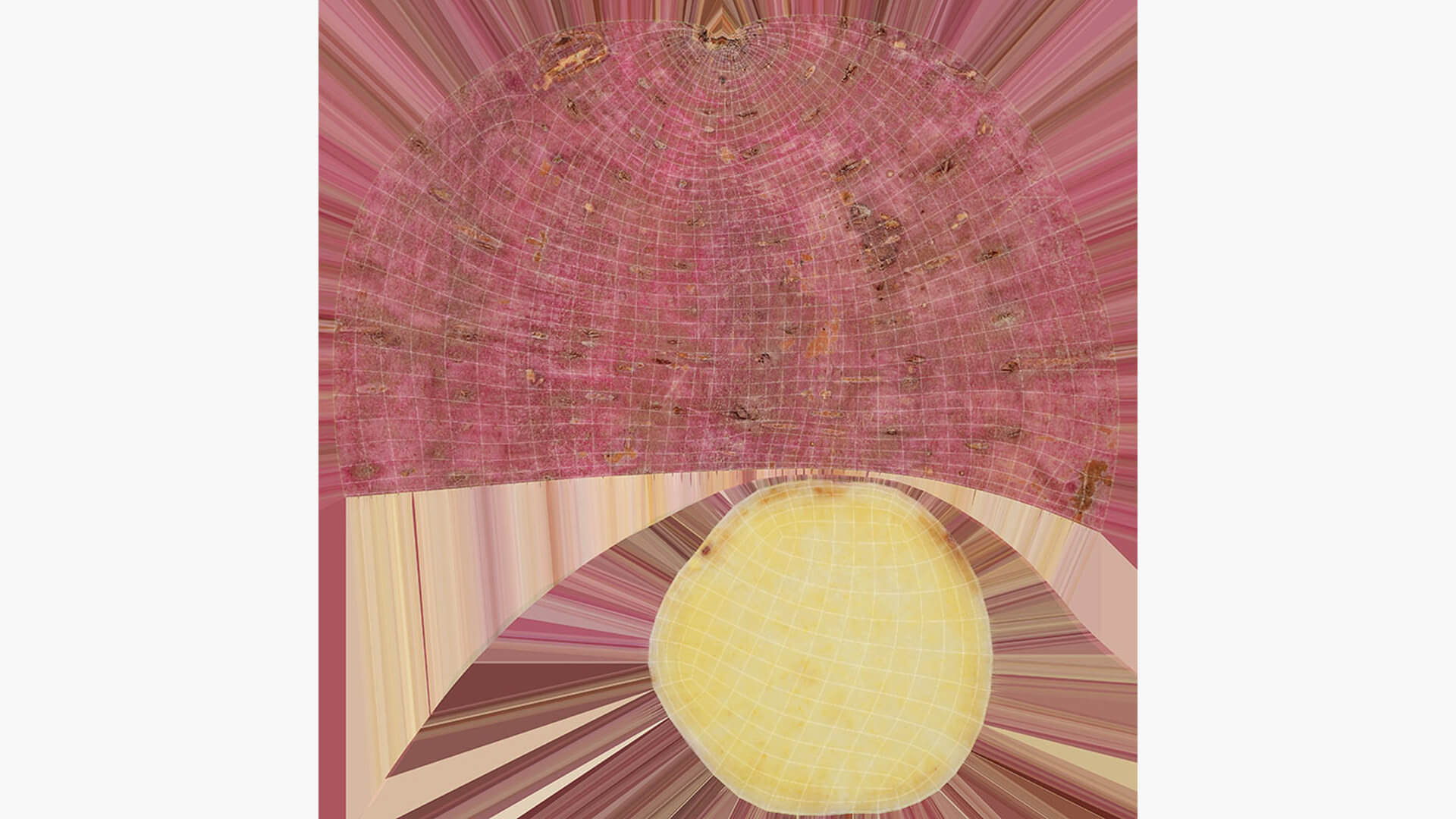 Half Sweet Potato 06 3D Model