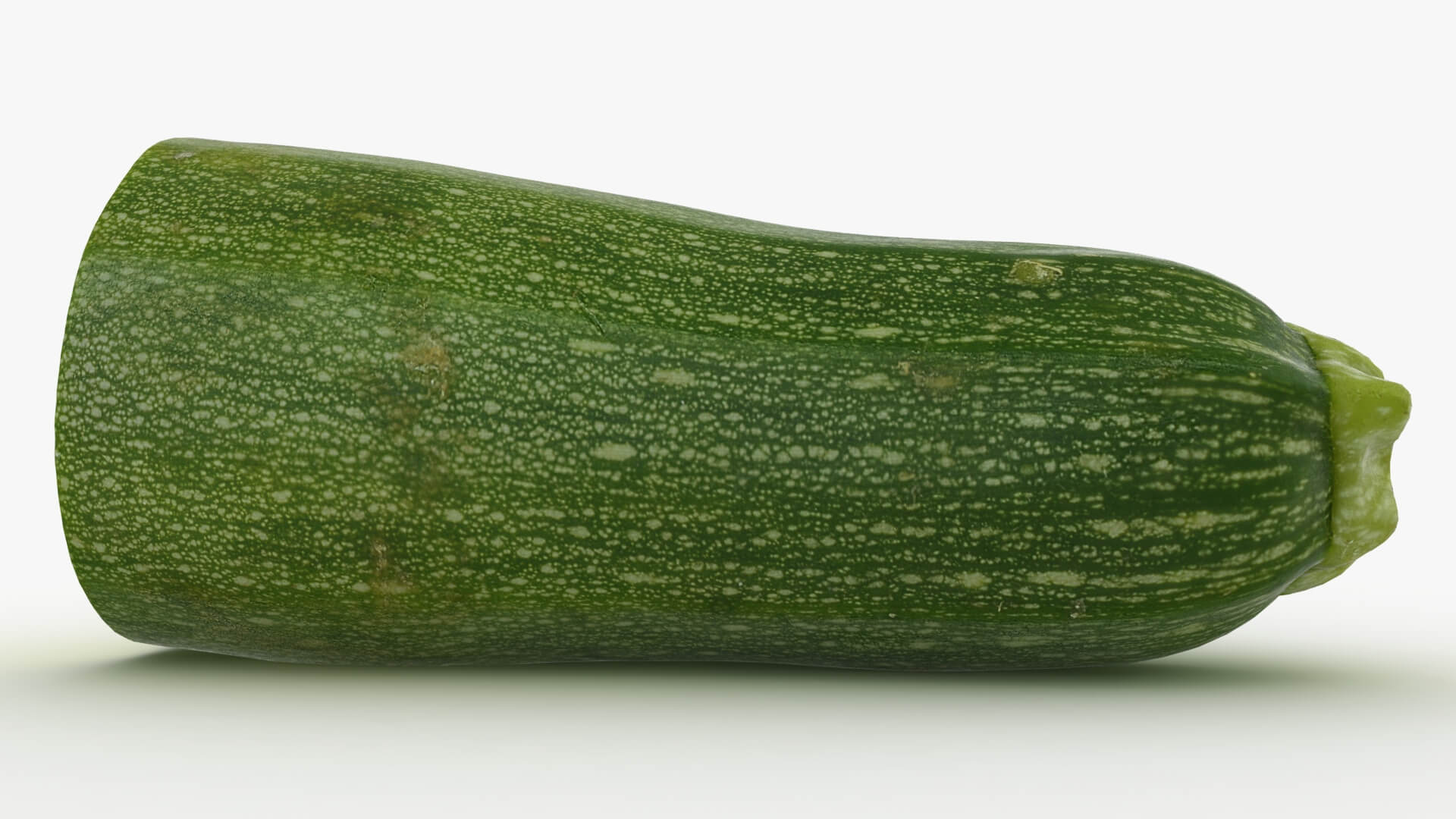 Half Zucchini 02 3D Model