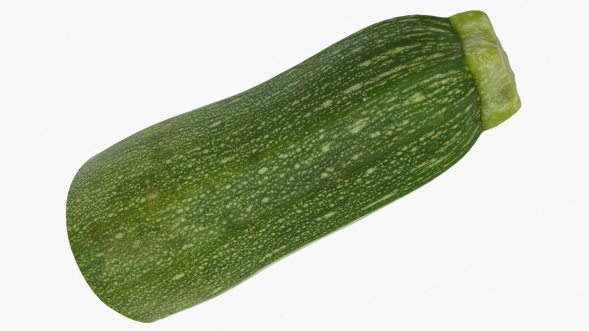 Half Zucchini 02 3D Model