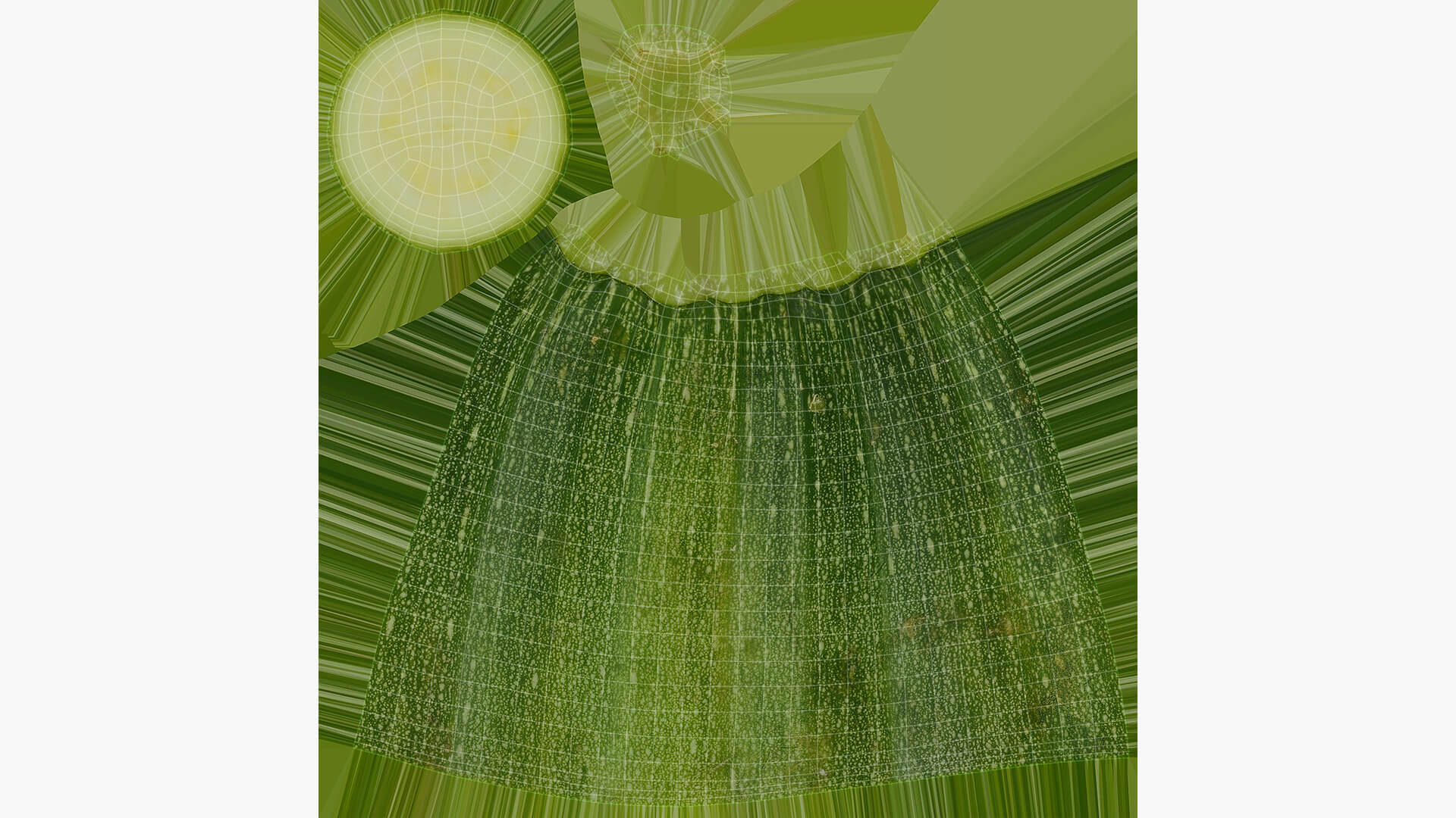 Half Zucchini 02 3D Model