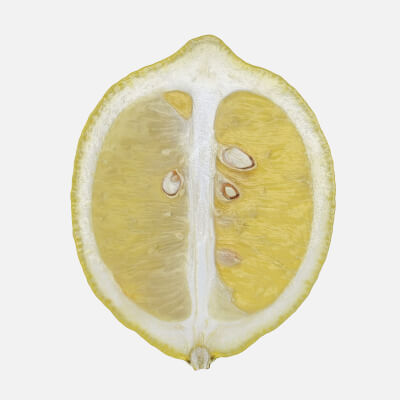 Lemon 02 Cut 2