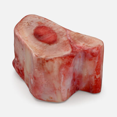 Marrow Bone 03