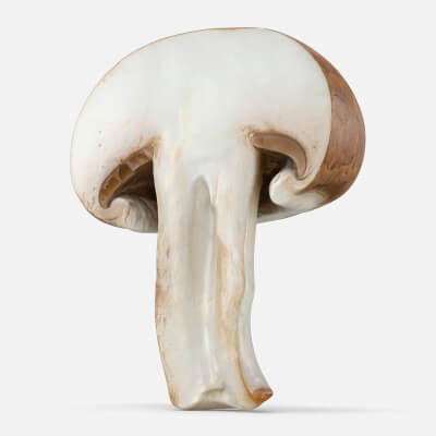 Mushroom Swiss Brown Half