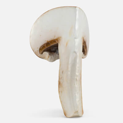 Mushroom Swiss Brown Slice