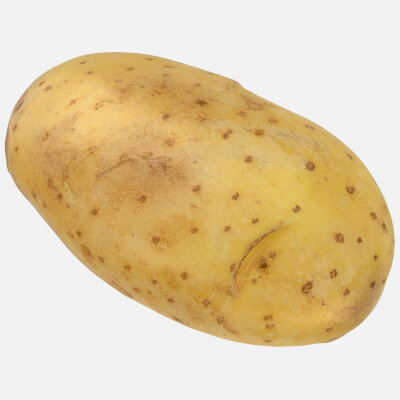 Realistic Old Potato