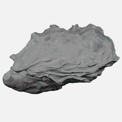 Oyster 02 - For 3D Print