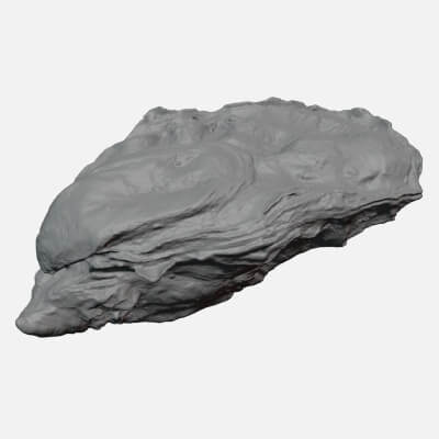 Oyster 03 - For 3D Print