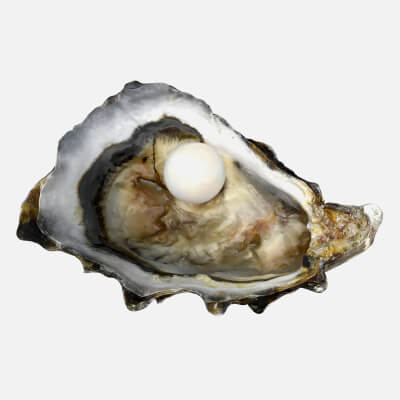 Oyster Shell with Pearl 2