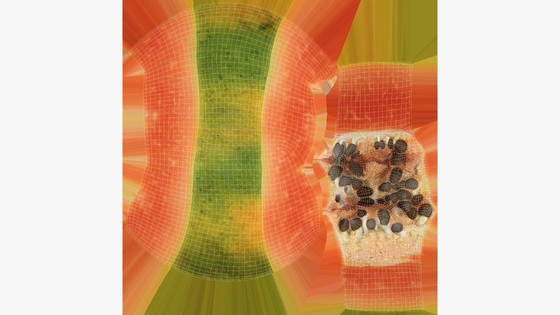 Papaya Slice 3D Model
