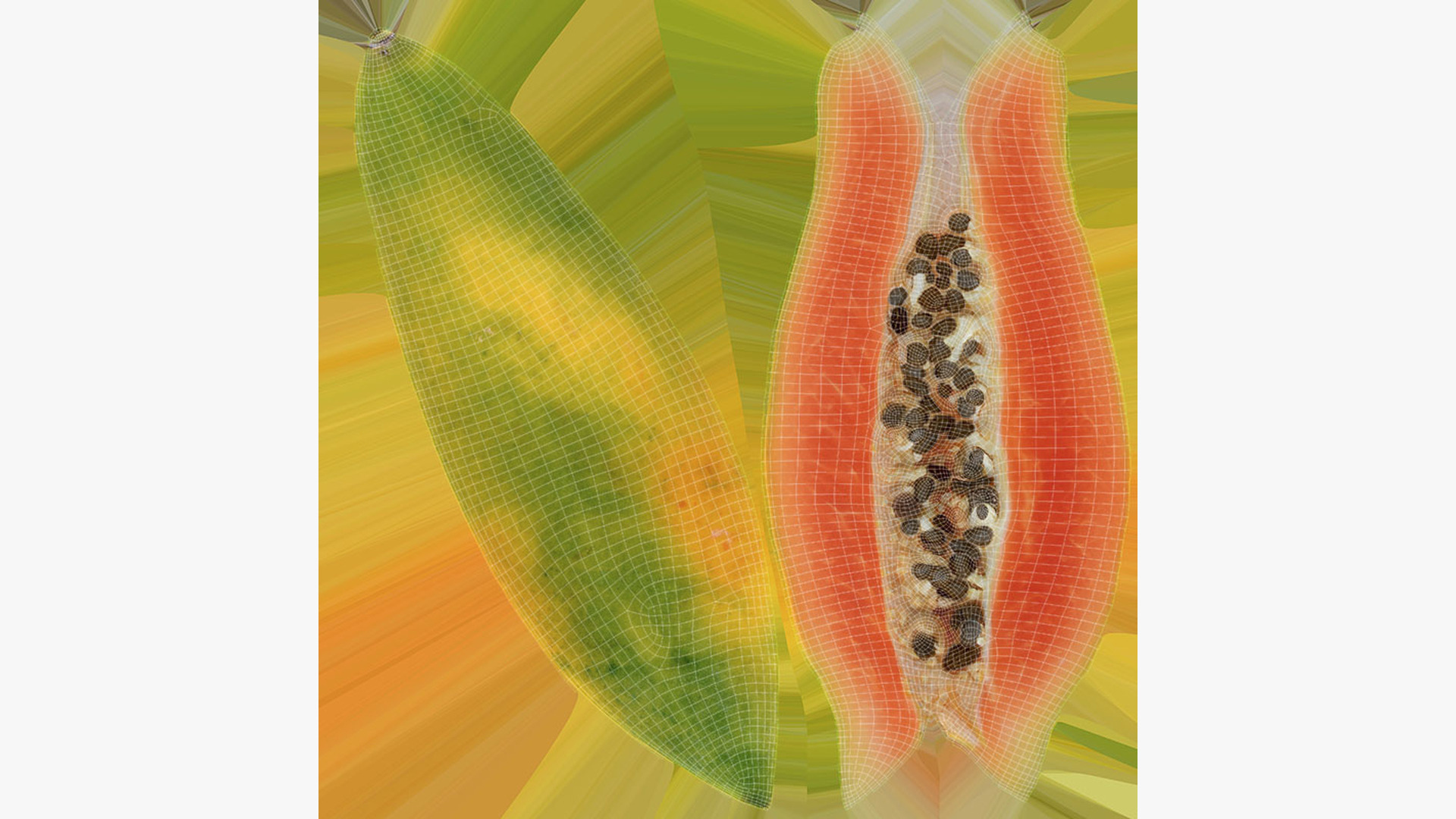 Papaya Wedge 3D Model