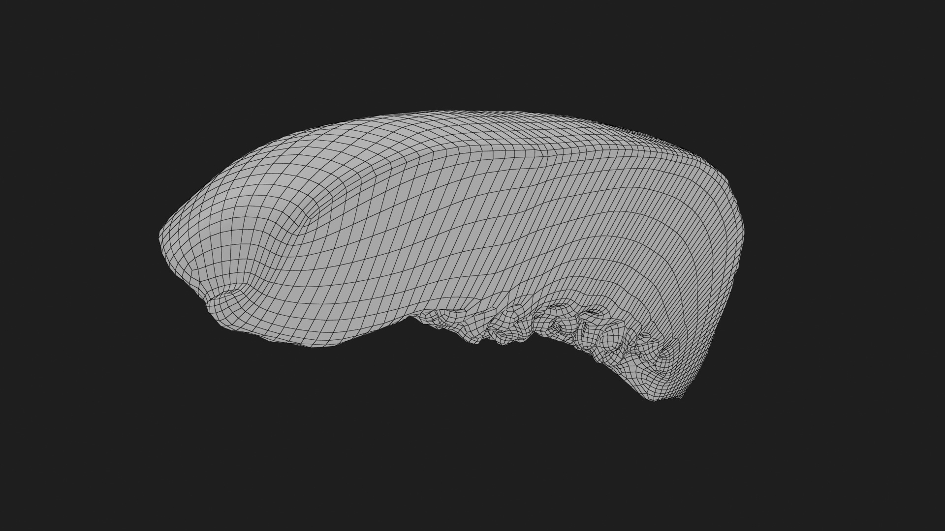 Papaya Wedge 3D Model