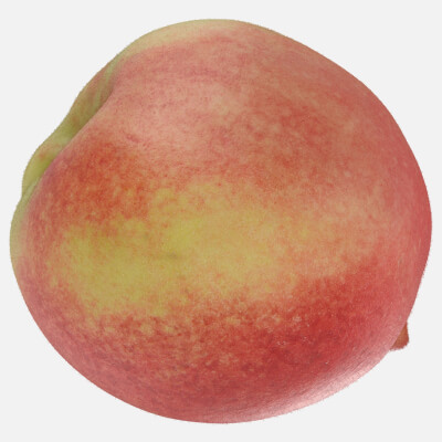 Realistic Peach 01
