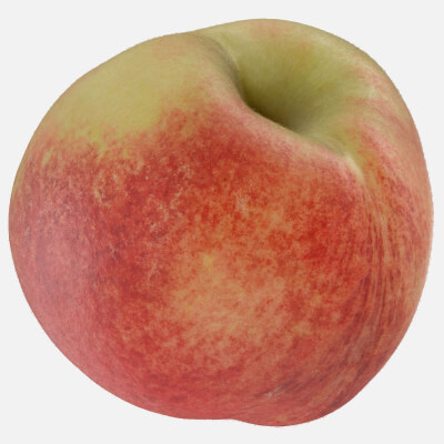 Realistic Peach 03