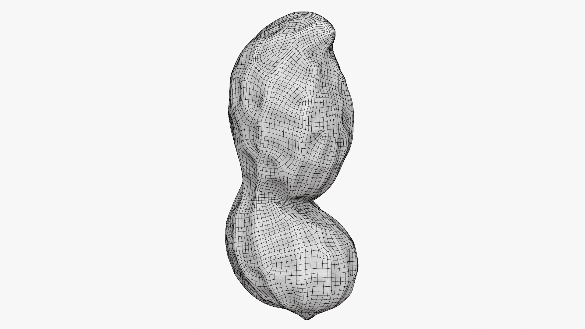 Peanut Shell 02 - 3D Scanned 3D Model
