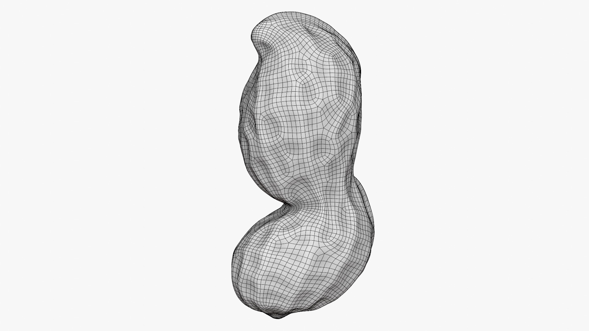 Peanut Shell 02 - 3D Scanned 3D Model