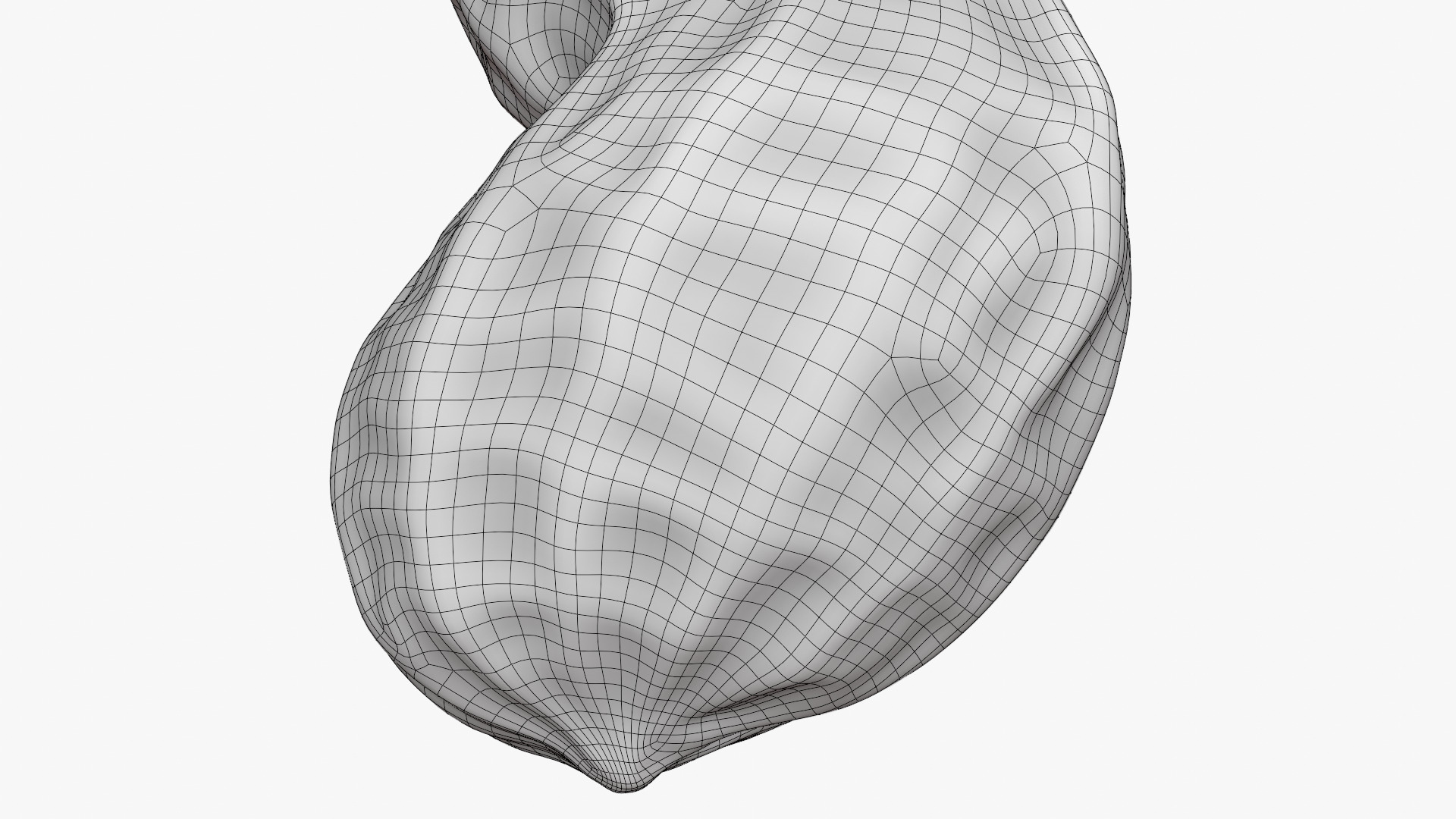 Peanut Shell 02 - 3D Scanned 3D Model