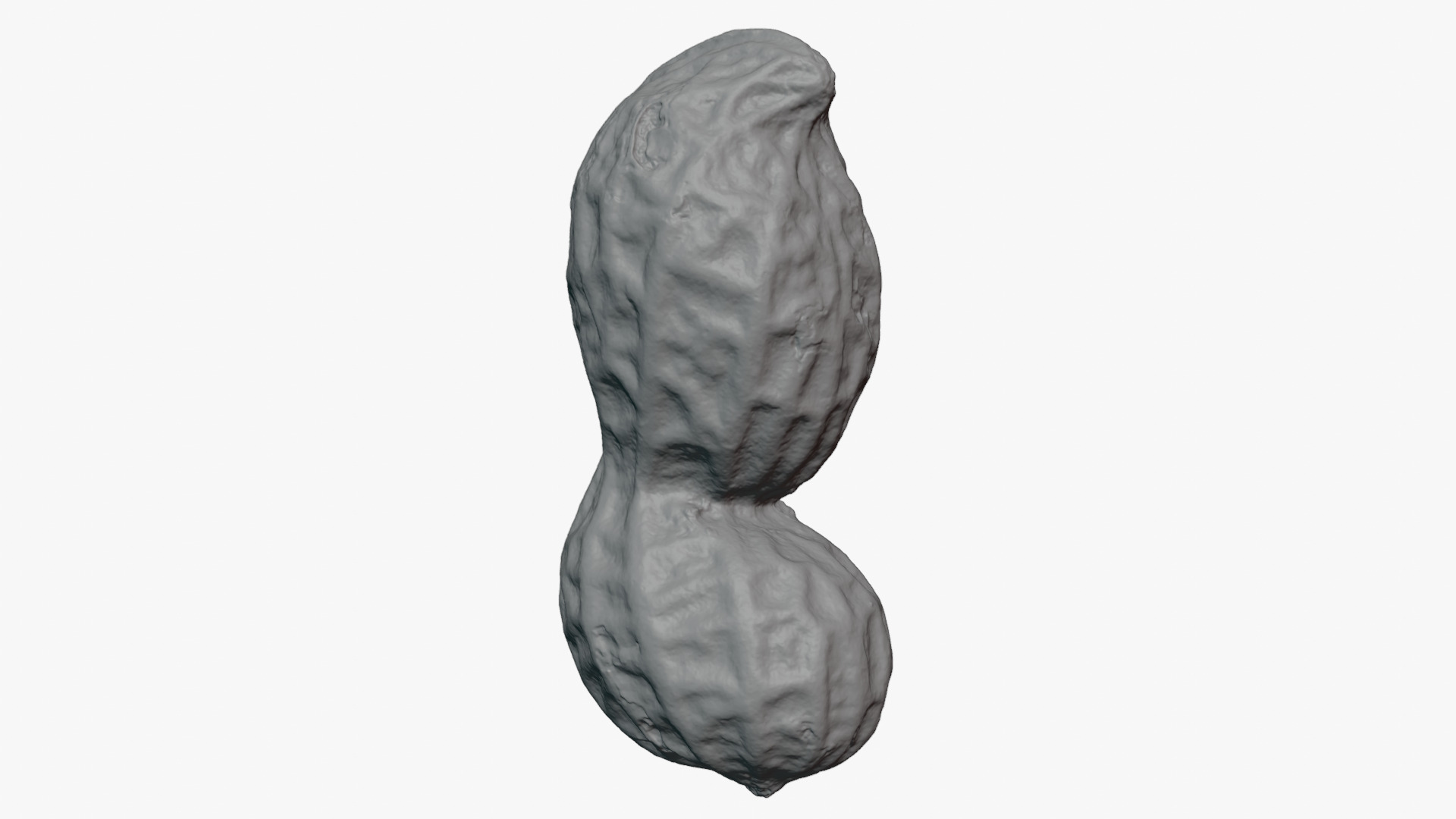 Peanut Shell 02 - For 3D Print 3D Model